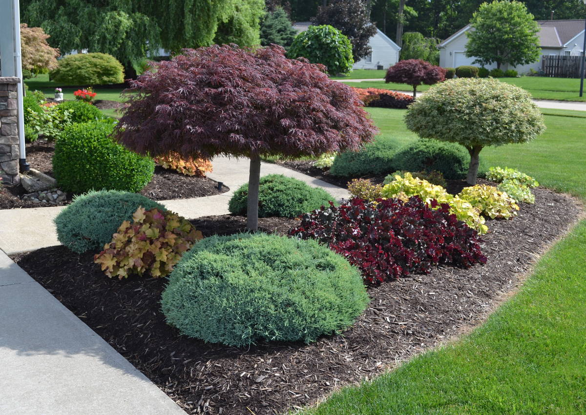 Lawn Care